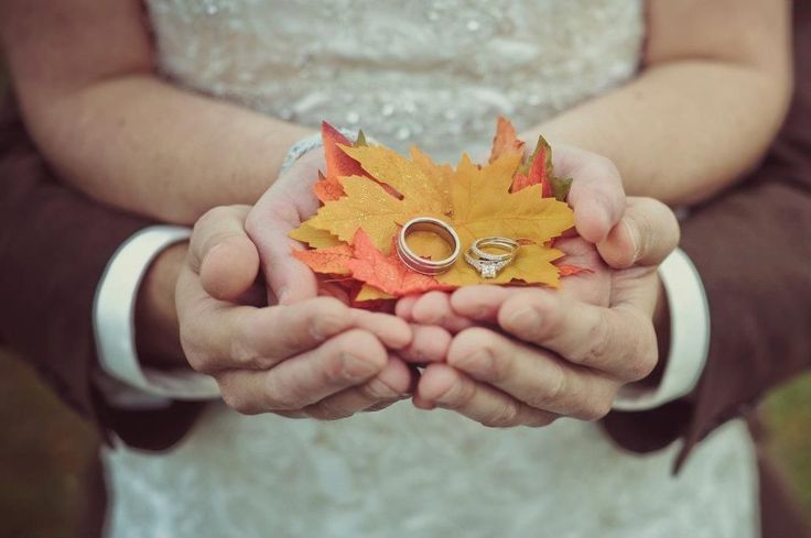 Алексей и Елена связали себя узами брака в одну из самых красивых дат свадебного сезона в территориальном отделе ЗАГС Веселовского района Управления ЗАГС Запорожской области