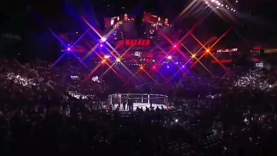 Владимир Рогов: Русско-бразильская «Матушка Земля»