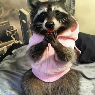 ������ ����, ������! �������� ��� ��� � ��������� ����������!