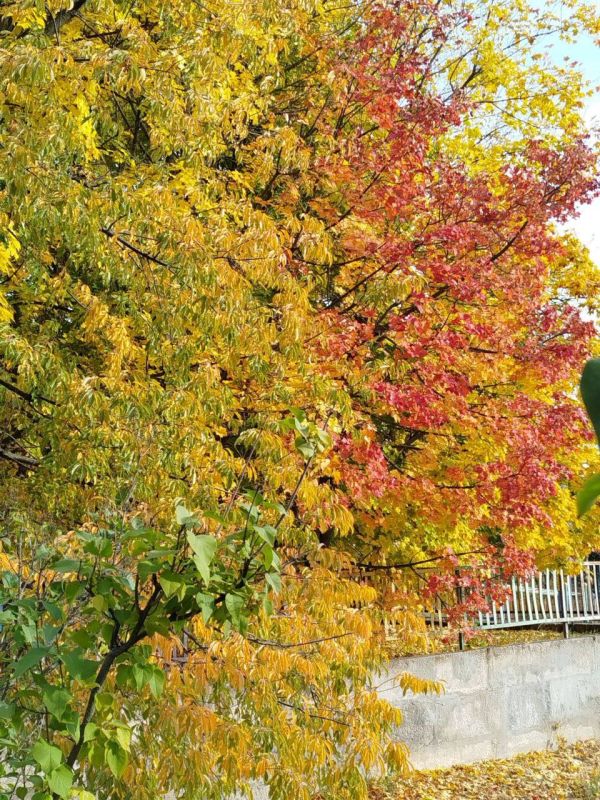 Доброго утречка, радостного настроения! Пусть день сложится удачно! Пускай даже самое маленькое действие приносит блестящие результаты! Успехов, побед, вдохновения!