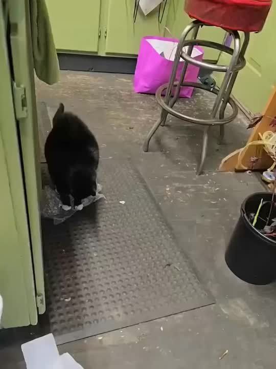 � ��� � ����� ��������. ������� ���������� ����� ����� ������� �������