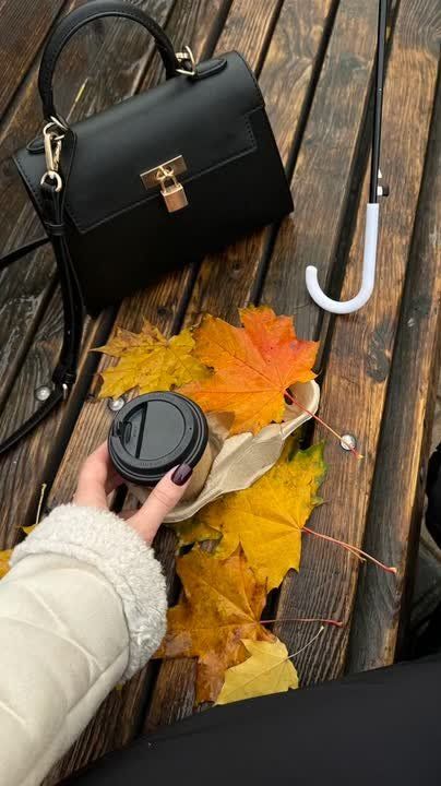 27 октября 2025 года