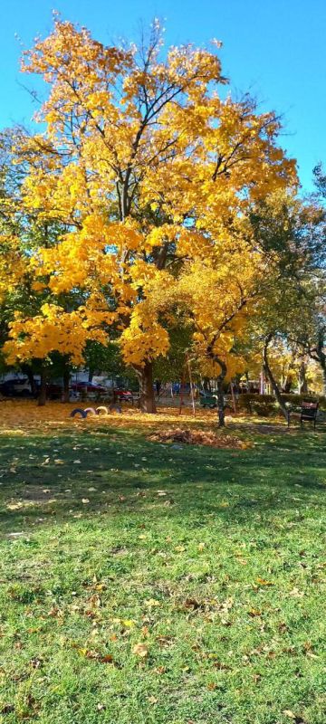 Пусть в момент, когда откроются глаза, откроются и пути к удаче, счастью и везению, и каждое мгновение этого утра сопровождается мощным позитивом, улучшая настроение в сотни раз, придавая сил, мотивации и желания покорить...