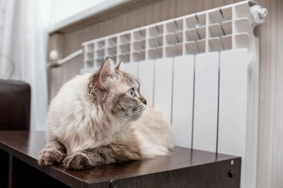 В Энергодаре к теплу подключено более половины домов