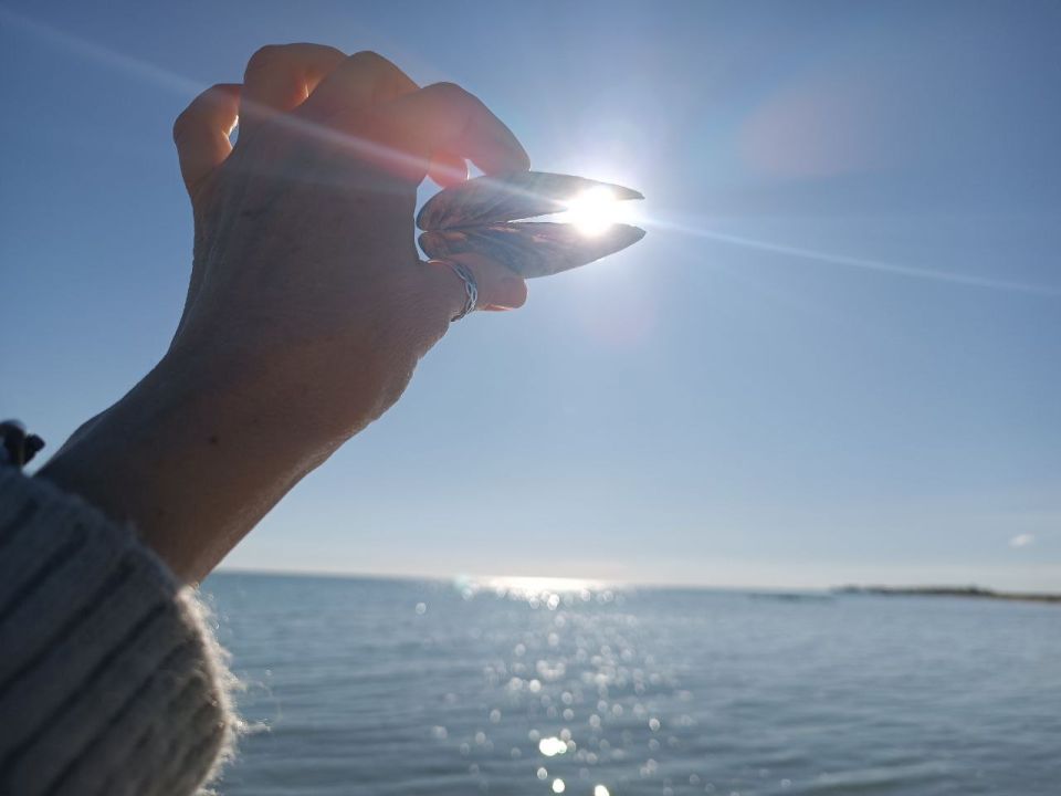 Доброе утро, дорогие наши!