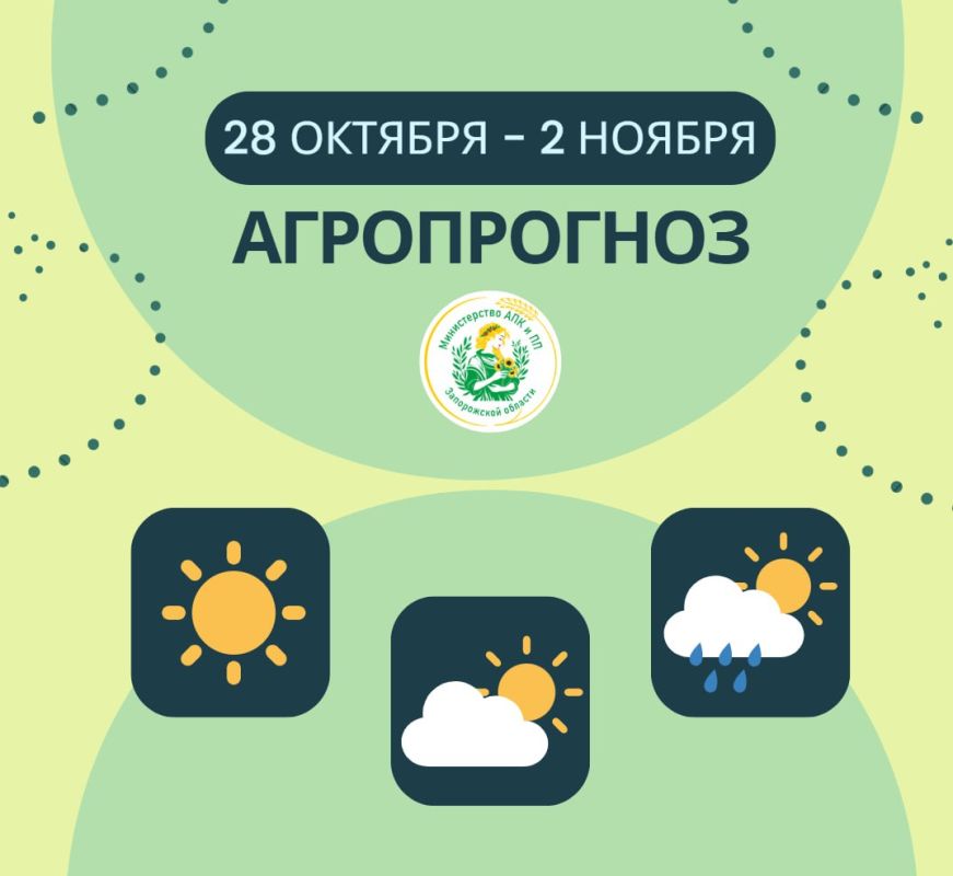 ������ ������: ����������� | 28 ������� � 2 ������