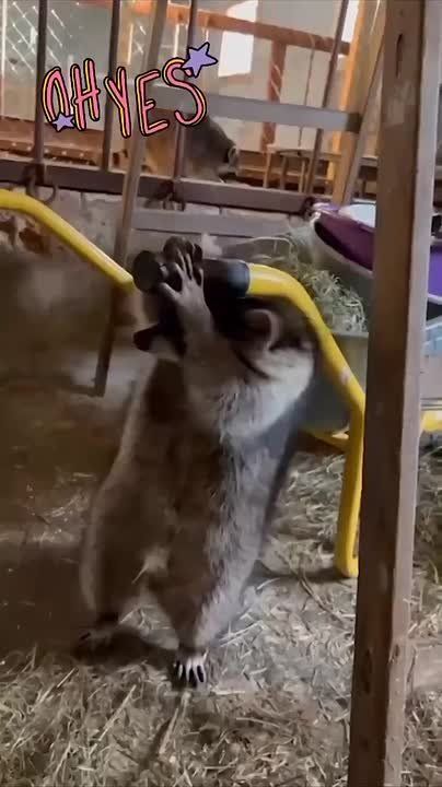 ������ ����, ������! �������� ��� ��� � ��������� ����������!