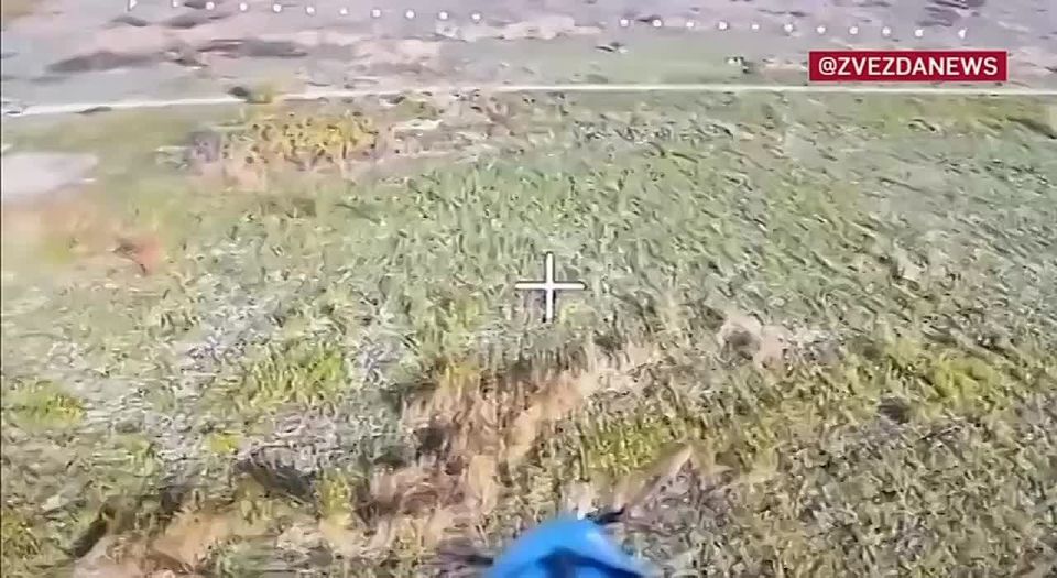 ������������ ��������� ��� �� ��������� ������� ����� ����, ����������� � ��������