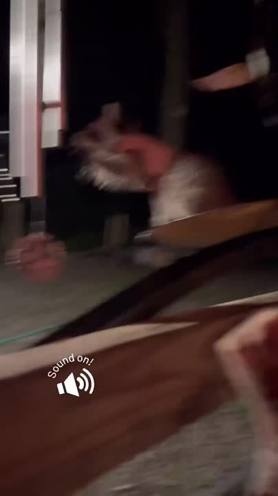 ������ ����, ������! �������� ��� ��� � ��������� ����������!