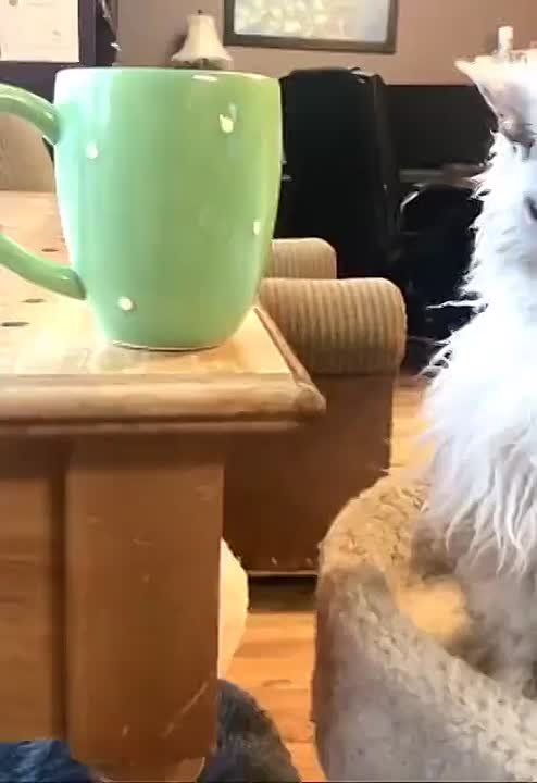 � ��� � ������� ������� ������