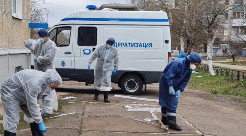 Жители Энергодара пожаловались на мышей в домах