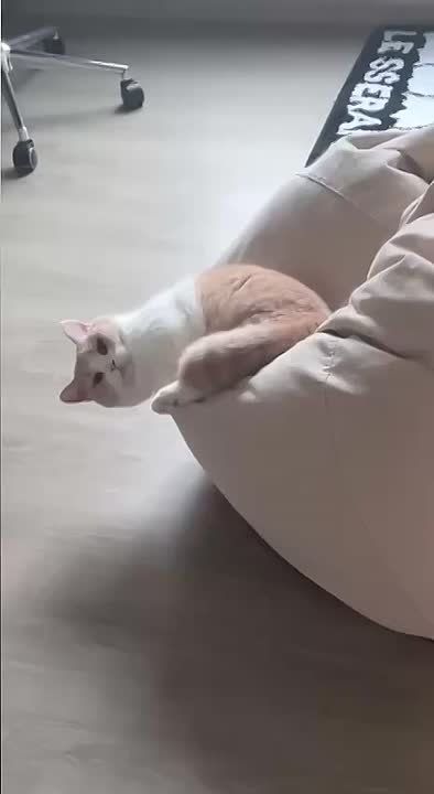 � ���, � ���, �� �������?. ����� ������ �������, � ����� ����� �� ������