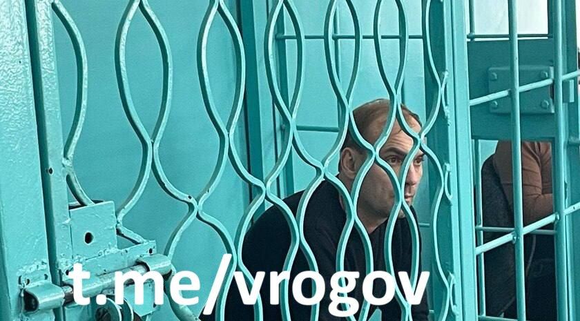 Виновник ДТП, в котором погибла Лиза Мелихова, будет сидеть