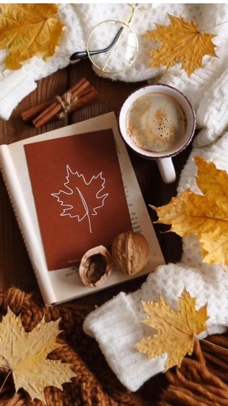 30 октября 2025 года