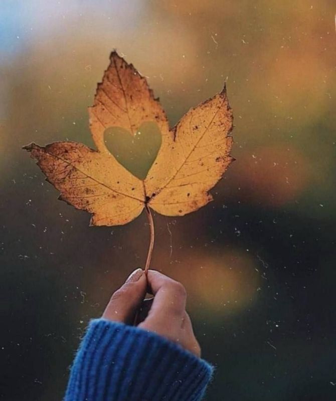 Доброе утро, друзья!. Последний день октября на календаре! Время летит очень быстро! С энтузиазмом приступаем к новому рабочему дню