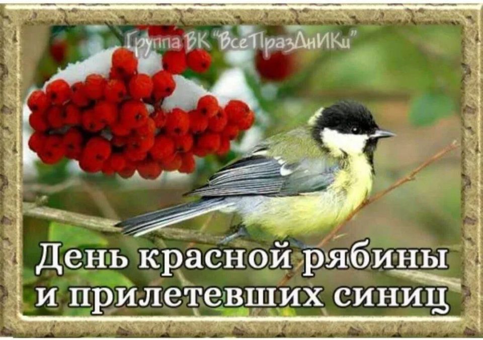 ������ ����, ������!. �������, 31 �������, � ���� ������� ������ � ����������� �����