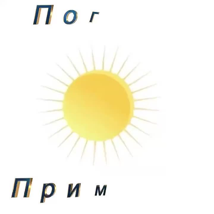 Погода Приморск (Приморский район), 31.10.2025