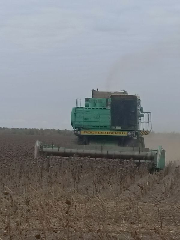 В Токмакском муниципальном округе проводится уборка подсолнечника и сев озимых культур