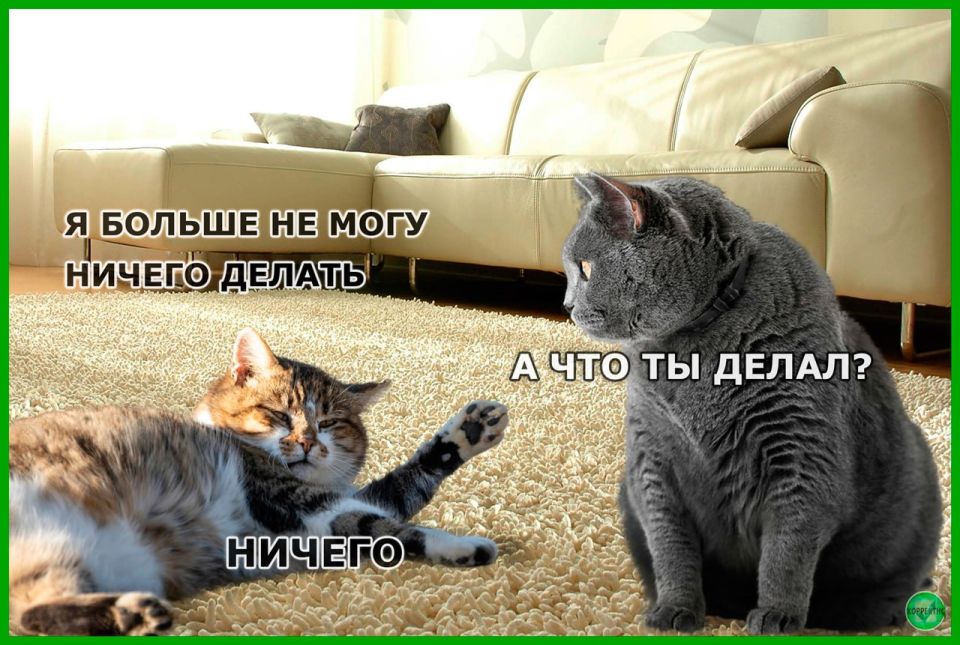 ���������������� ��������� � ������