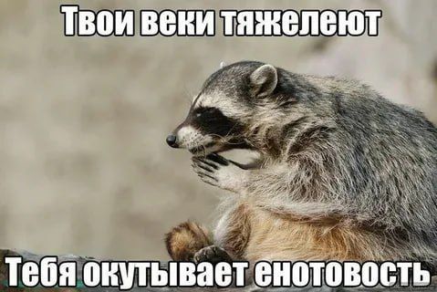������ ����, ������� ����������! ������ ����, ���������!