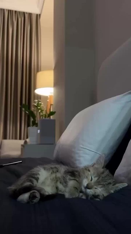 ����� �������, ��������. ������� ������� ������ � ������ �� ������