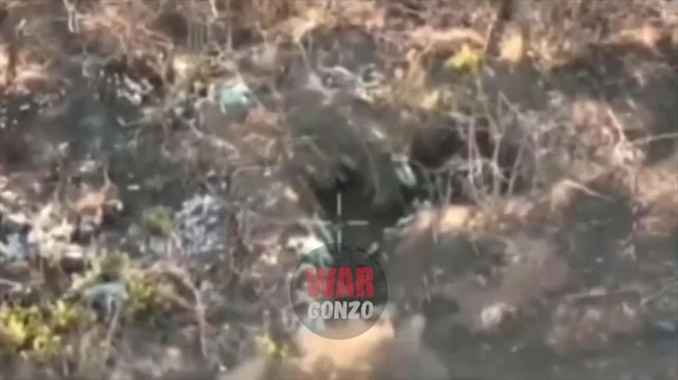 WarGonzo: Штурма совместно с птичниками забирают укреп у ВСУ