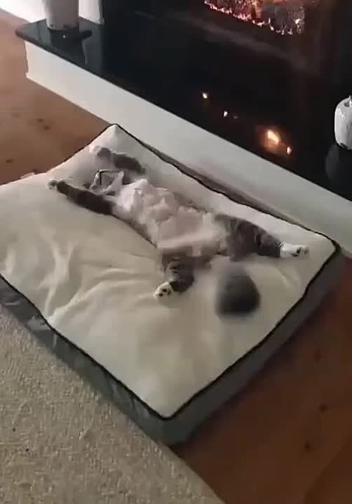 ��������� ����!. ����� ����������