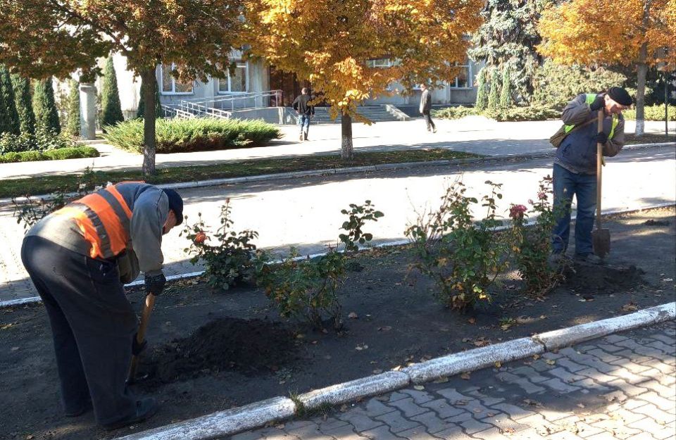 Коммунальщики высадили кусты роз на клумбах главной улицы города Токмак