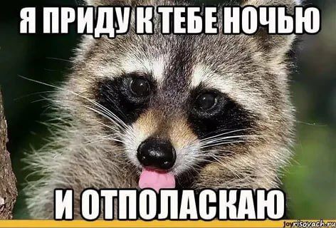 ������ ����, ������� ����������! ������ ����, ���������!