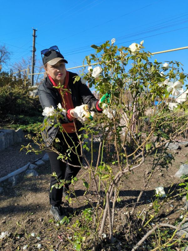 #ОсеннийСубботник. Коллектив отдела молодёжи и спорта администрации, активисты Юг-Молодой и МАРШ