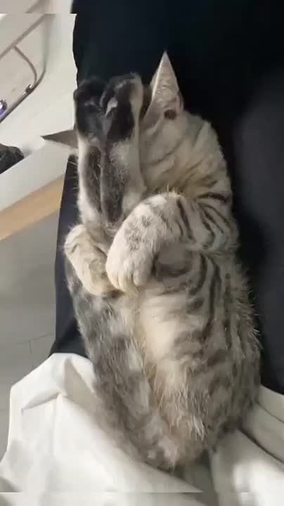 � ��� � ����� �����������. ����� �����, ����� ���� ������