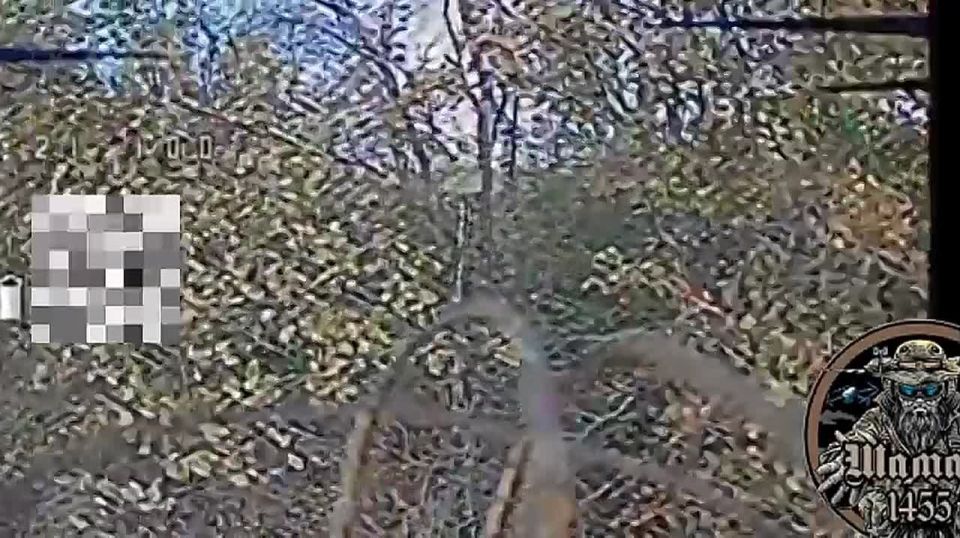 ��������� ������ ������������� "�����" 1455 ����� ���������� ������� ��� � ������ �.�. �������������, ����������� �����������