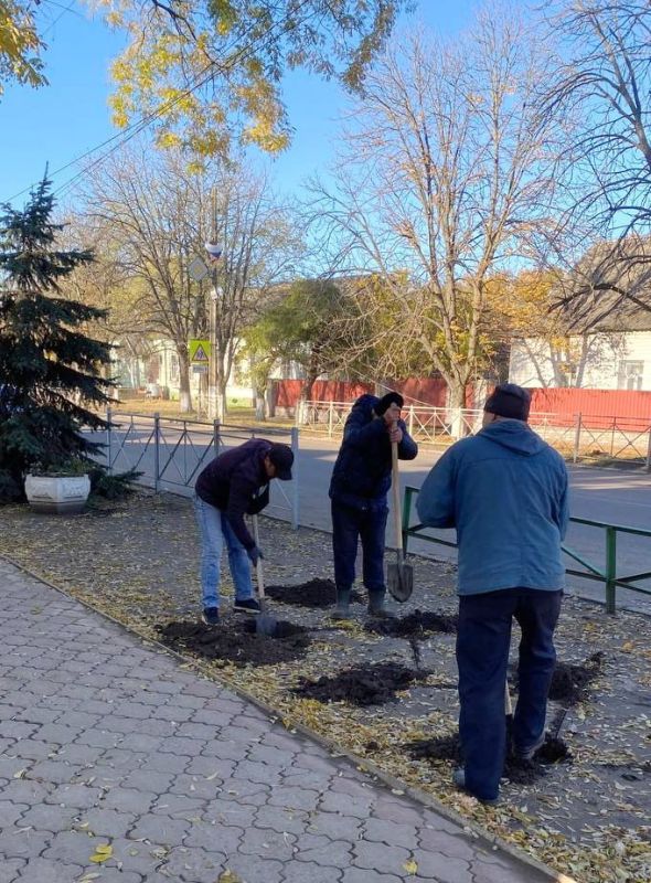 Ко Дню народного единства в Молочанске высадили розы