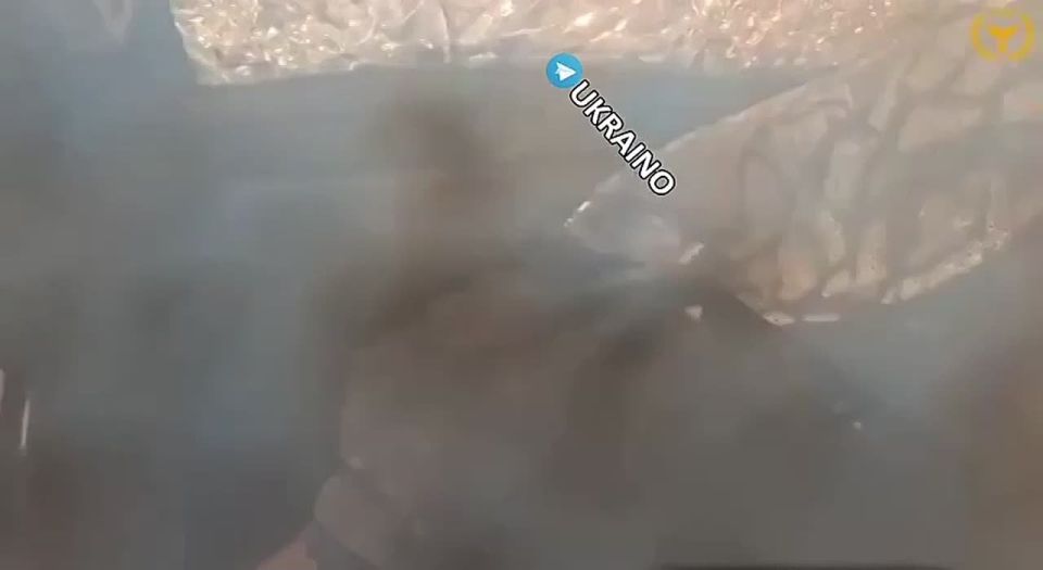 ������ FPV-������ �� ����������