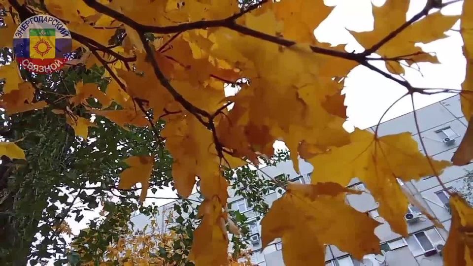3 ������ - ���� ����������� � �����������