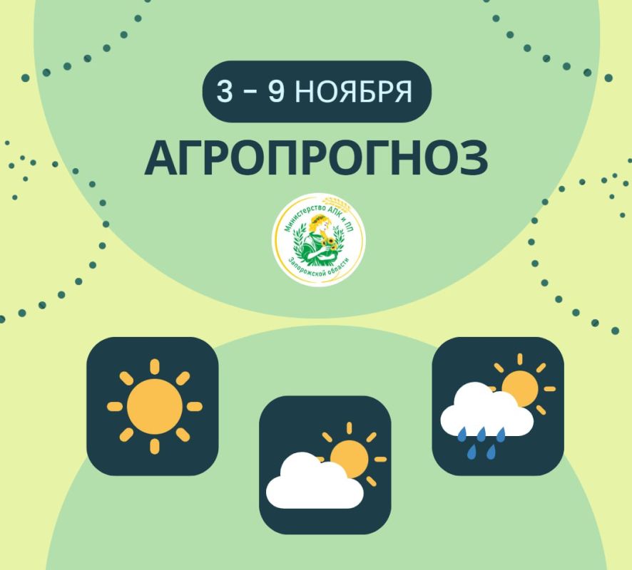 ������ ������: ����������� | 3 � 9 ������