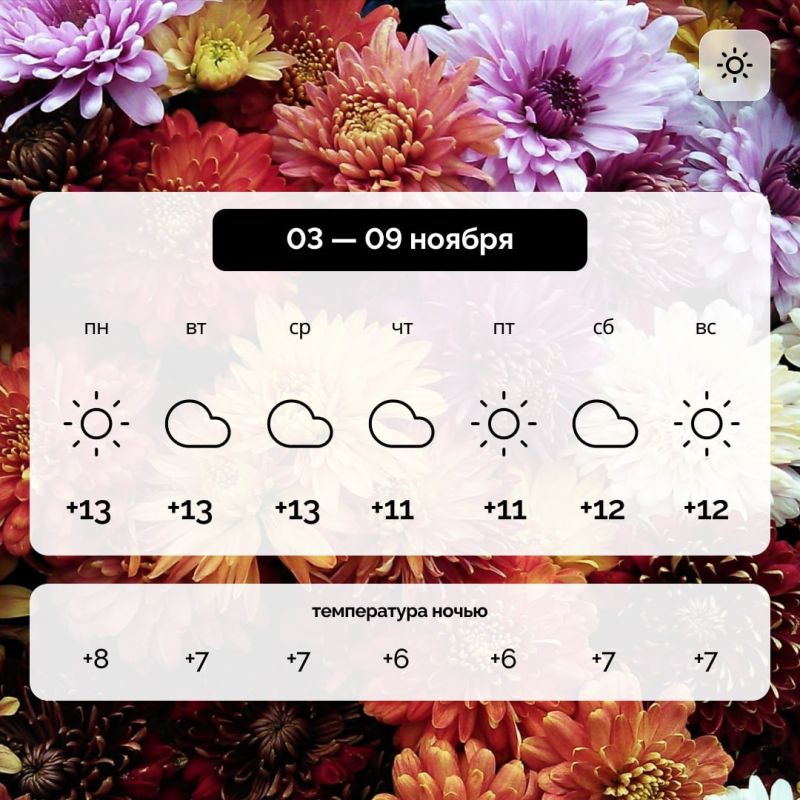 ������ � ����������� ������� �� 03 � 09 ������