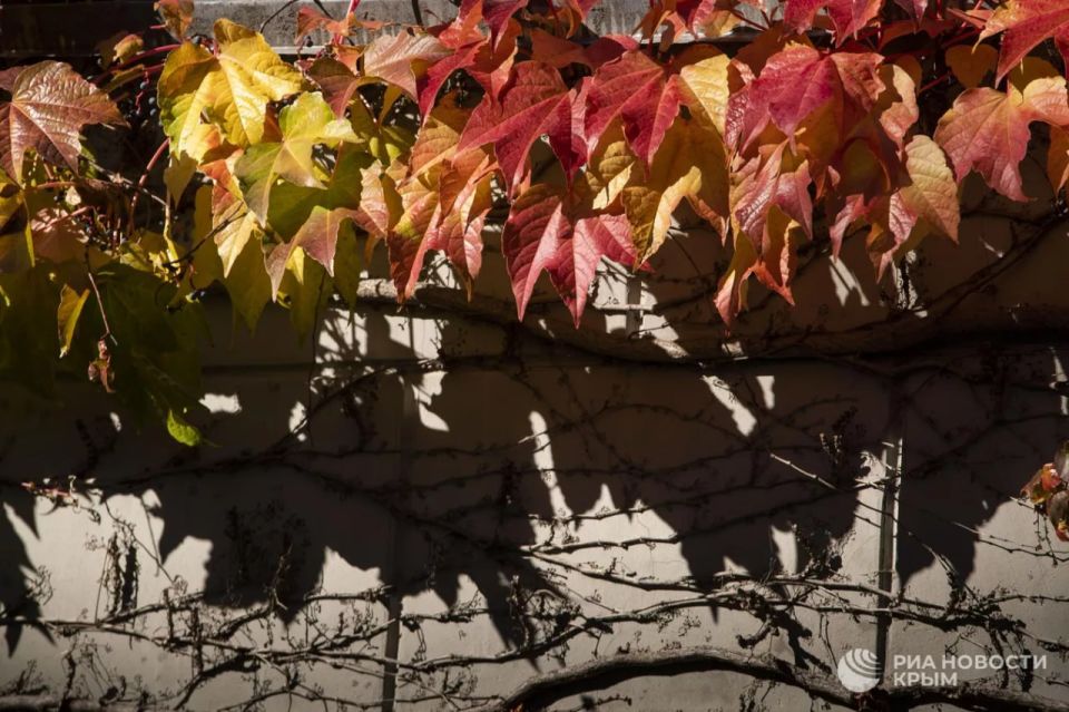 Погода на новых территориях России