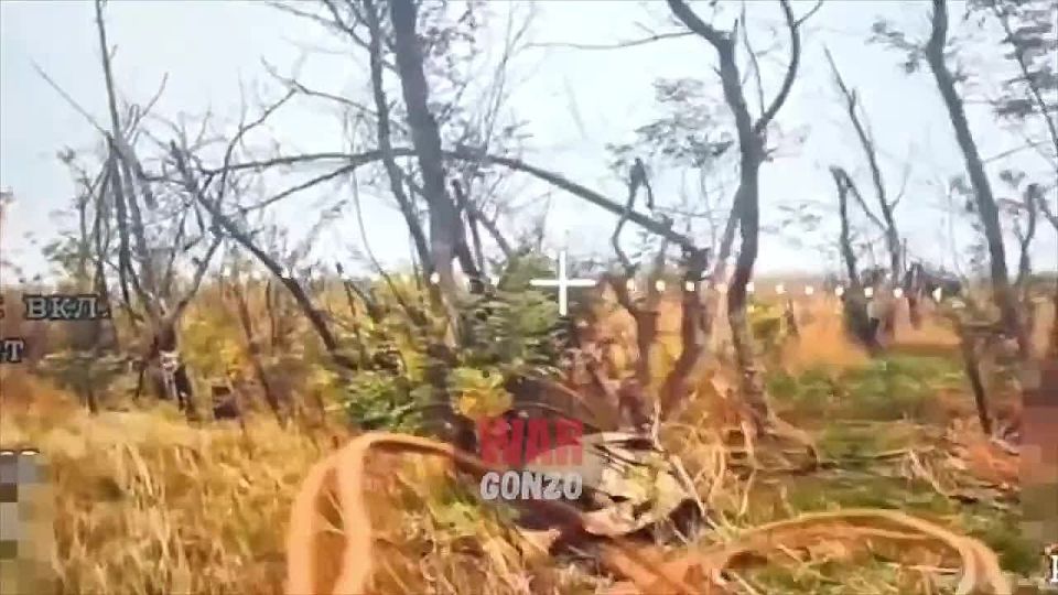 WarGonzo: Раненого неонациста добили fpv-дроном