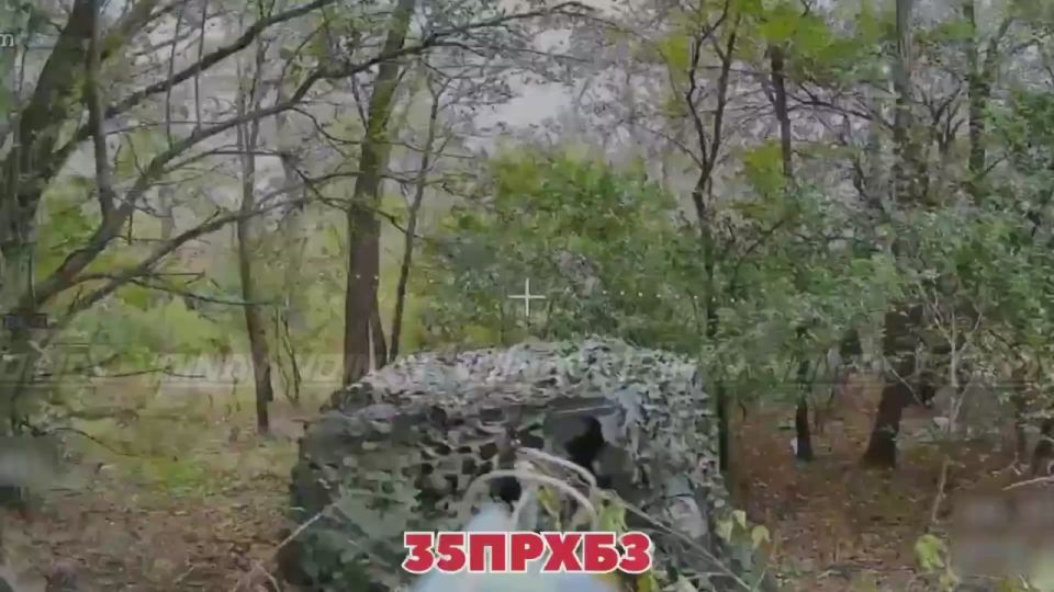 #��_�����������. ��������� ��� 35 ������������ ����� ���� 35 ����� ����������� ����� "������" ���������� ������� ���������� �� ����������� ����������� � ������ ��������� ������� ������ ��� � ����������