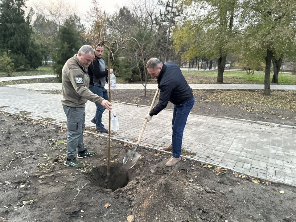 В День народного единства команда Пензенской области и Токмакского муниципального округа высадили деревья