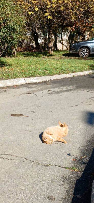 Доброго утра! Пусть вместе с ним придёт и вдохновение, пусть раннее солнце подарит хорошее настроение и уверенность в том, что всё будет чудесно