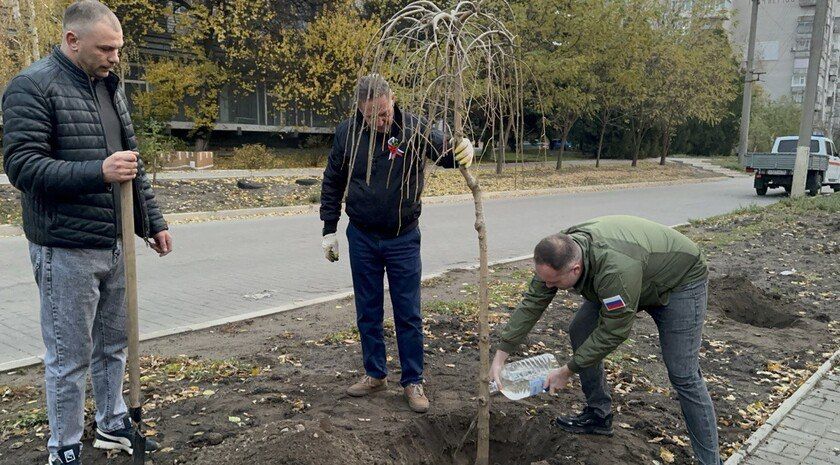 В Токмаке в День народного единства прошла акция по высадке деревьев
