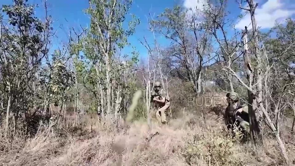 ���������-�������� ������������� ��������������� ������������ ��������-���������� ������� ���������� ��� �� ������� ����������� ����� ������ ��������� ����� ��������� � ������� ������ �� �������������� ����� � �����������...