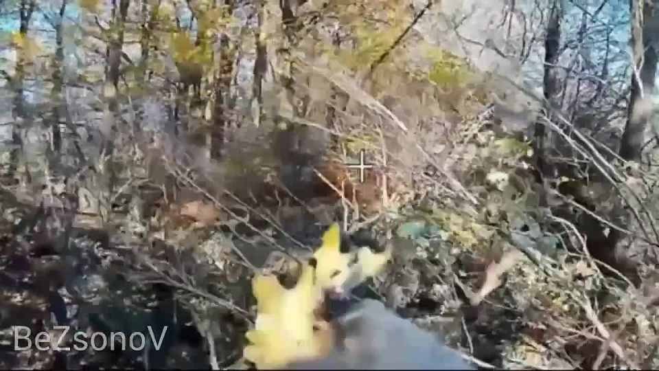 ������� FPV-������ ����������� ����� ������� ������� � �������� �������������� ������ ��� � ���������������� �������