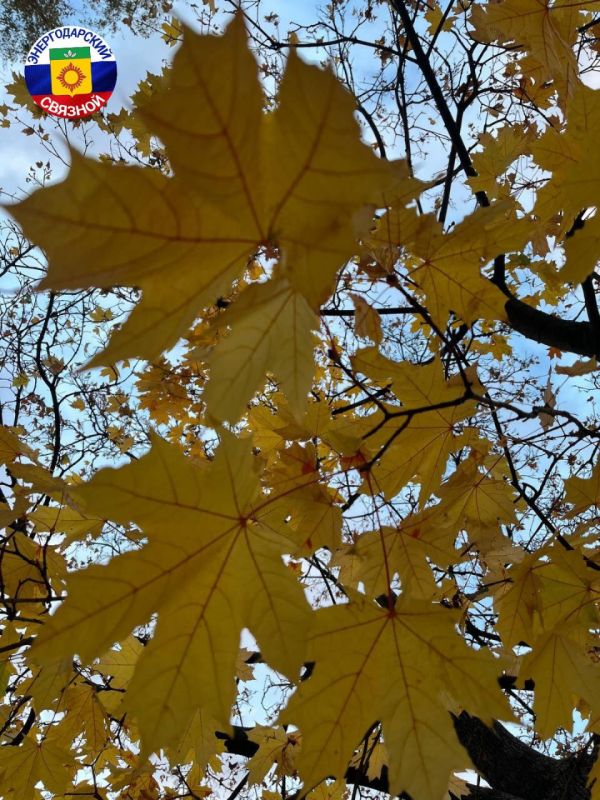 С добрым утром!. Желаем, чтобы утро принесло новые радости, новое, прекрасное настроение и ваш новый день, был по-настоящему счастливым! Пусть этот день распускается яркими красками и радует позитивными событиями...