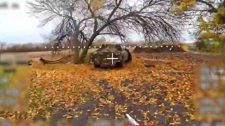 ��������� ��� 5 ����� ����������� ����� "������" �� ���� ����� ���������� � ������������� ����������