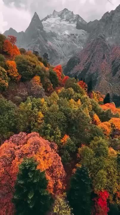 ������� ���� , ������� ������������!