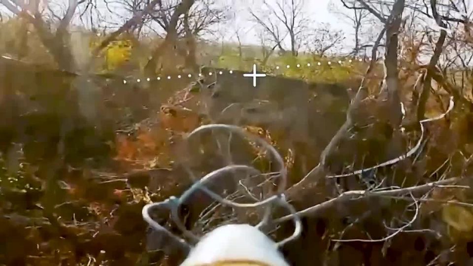 ��������� FPV-������ ����������� ����� ������� ������� ����� ������ ������ �� ������� ���������� �� ����������� �����������