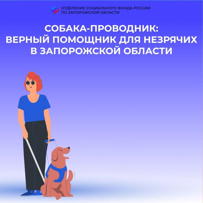 ��� � ����������� ������� �������� ������-�������� � �������� �������� ������������?